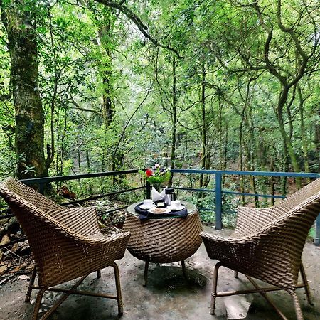 Ayar Jungle Resort Naini Tāl Exterior foto